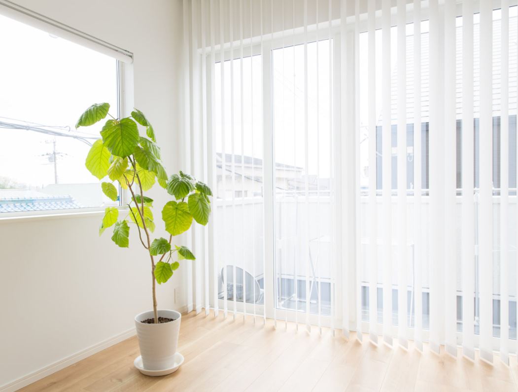 Vertical Blinds Hervey Bay